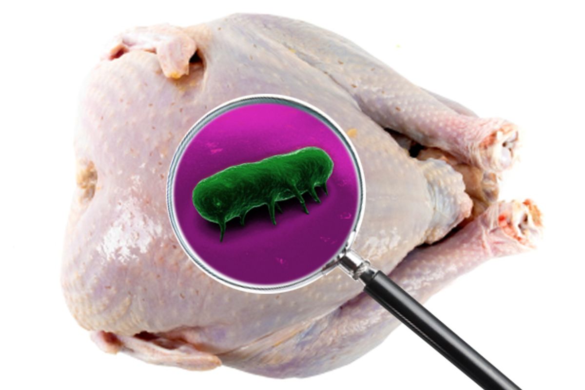 Turkeys are flying off the shelves as Cargill races to recall 36 million pounds after a salmonella outbreak in California was tied to the company's poultry.  