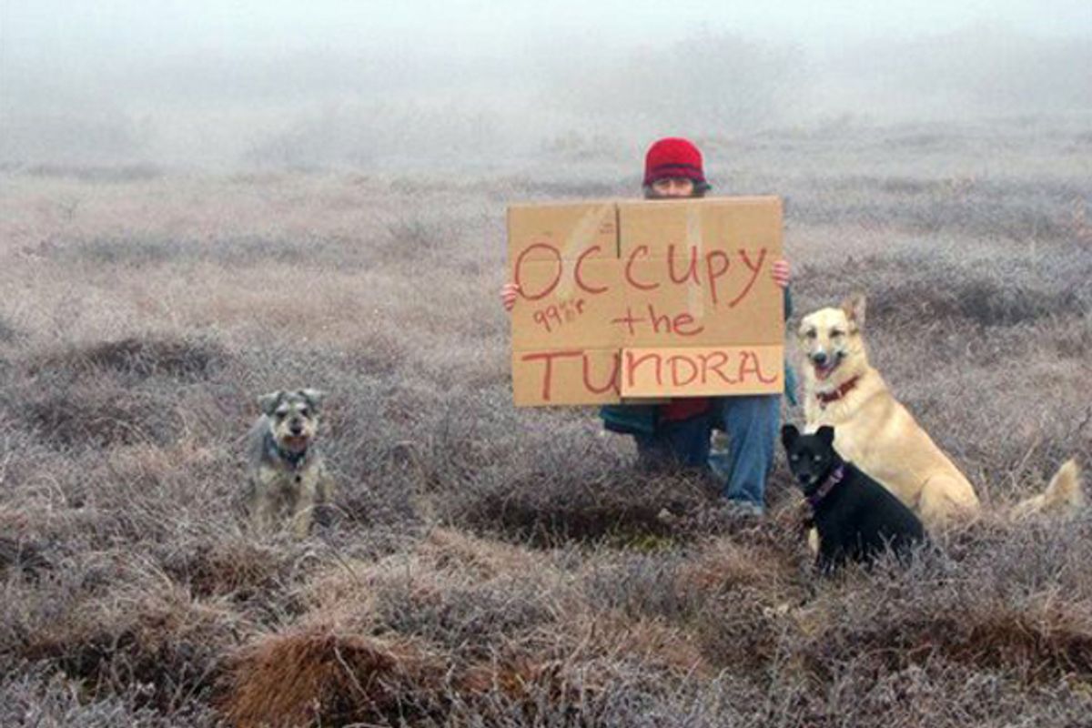 Diane McEachern sits with her dogs Mr. Snickers, left, Seabiscuit, and Ruffian, right, on the tundra near Bethel, Alaska. McEachern wanted to participate in the Occupy Wall Street protests so she gathered her dogs, bundled up and went out to the tundra with a homemade sign that read "Occupy the Tundra." (AP/Diane McEachern)