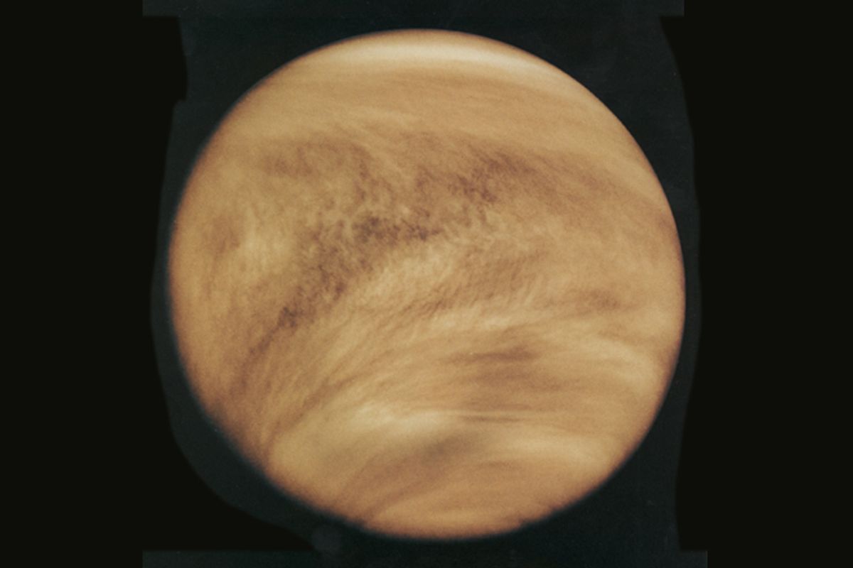 Venus     