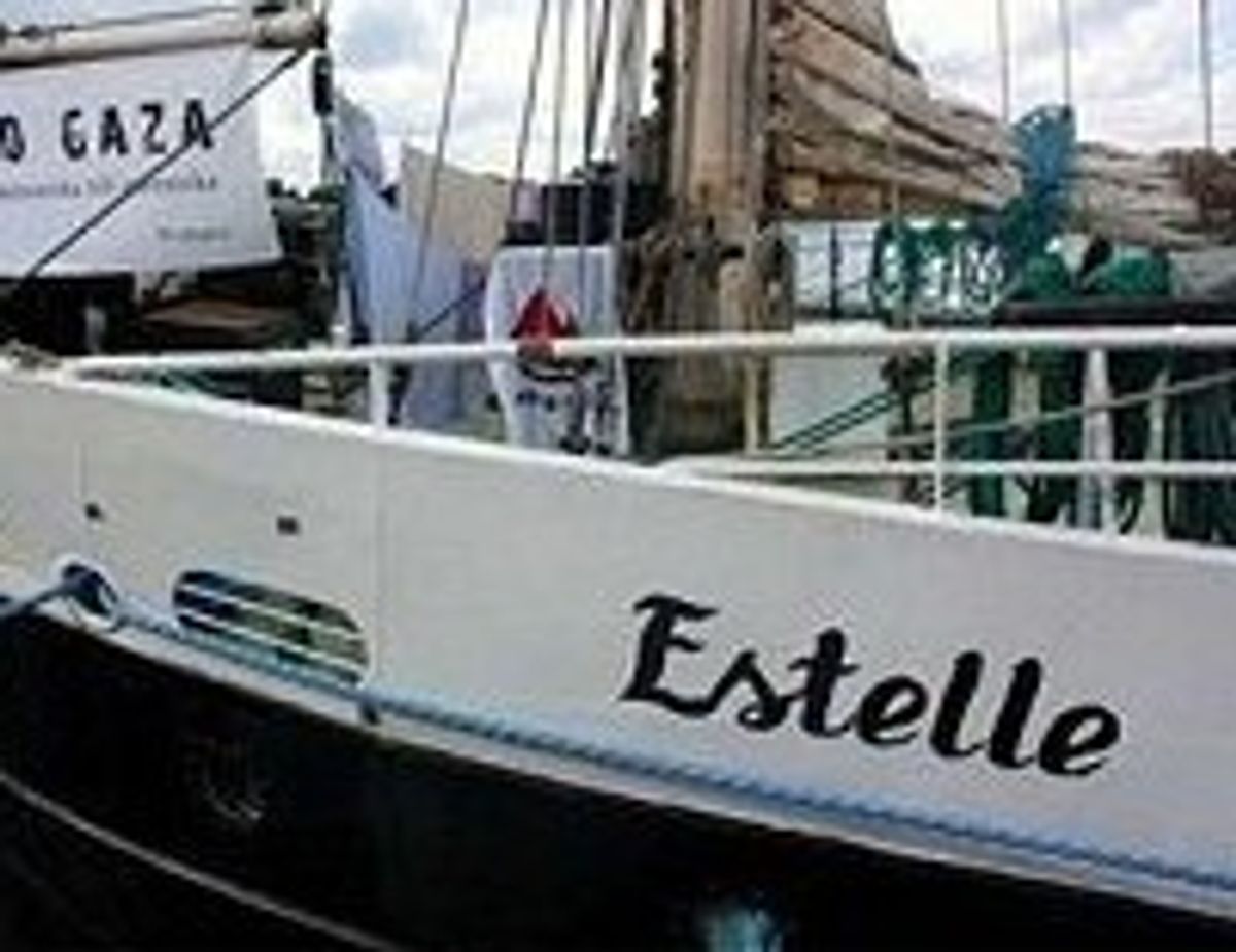  The Estelle         ((via occupiedpalestine.wordpress.com))