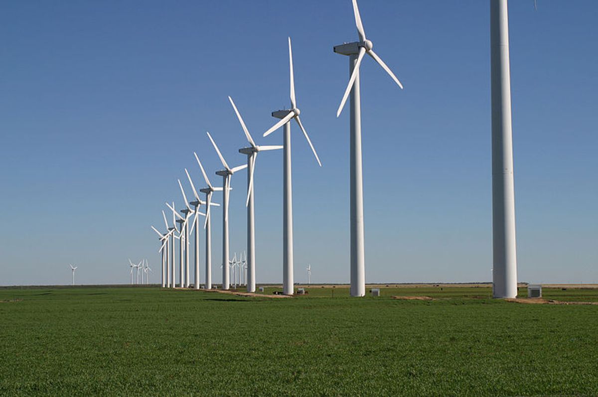 Brazos Wind Farm, Texas         (Brazos Wind Farm, Texas, via Wikipedia)
