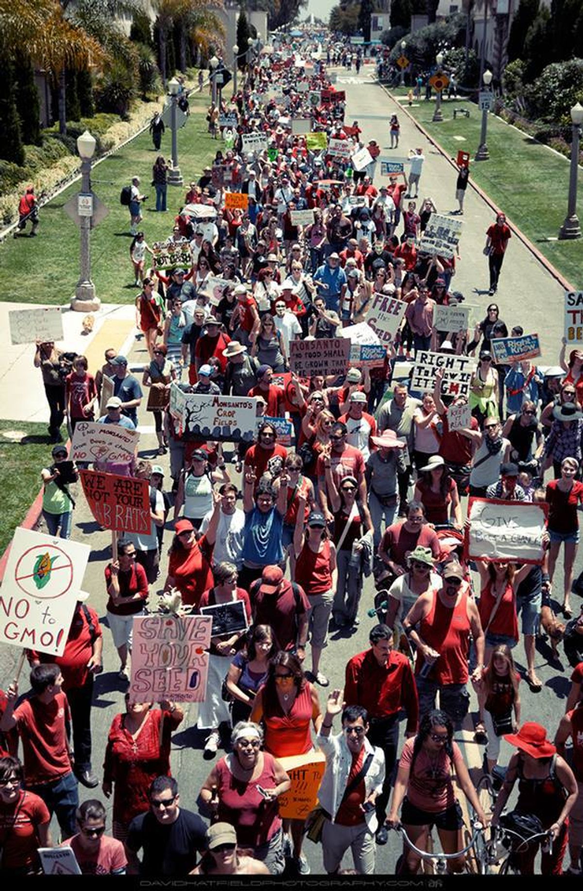  March against Monsanto in San Diego (via Facebook)