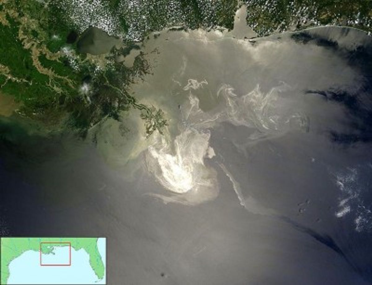  The spill viewed from space             (Wikimedia)