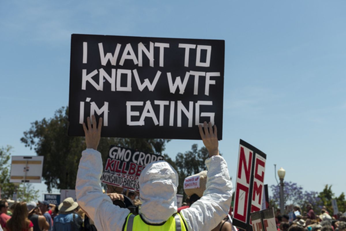Protesters in Balboa Park as part of a global series of marches against the Monsanto Co. and genetically modified foods on May 25, 2013 in San Diego, California.   (justasc/Shutterstock)