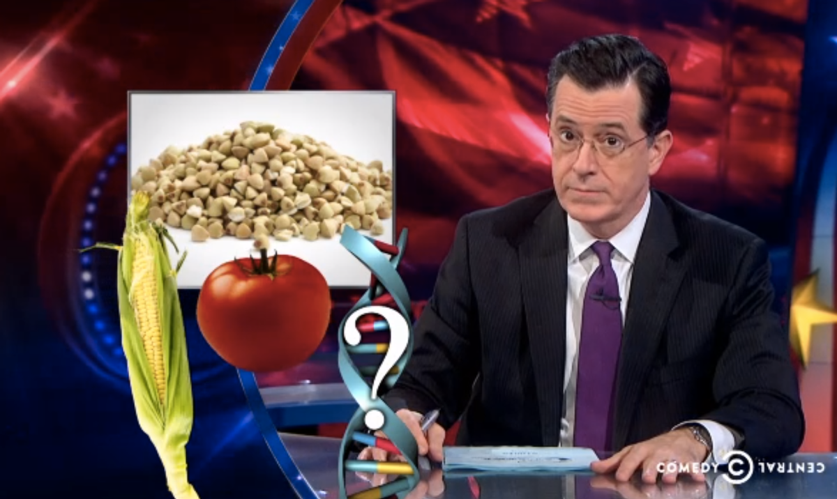   (Screenshot, Colbert Nation)