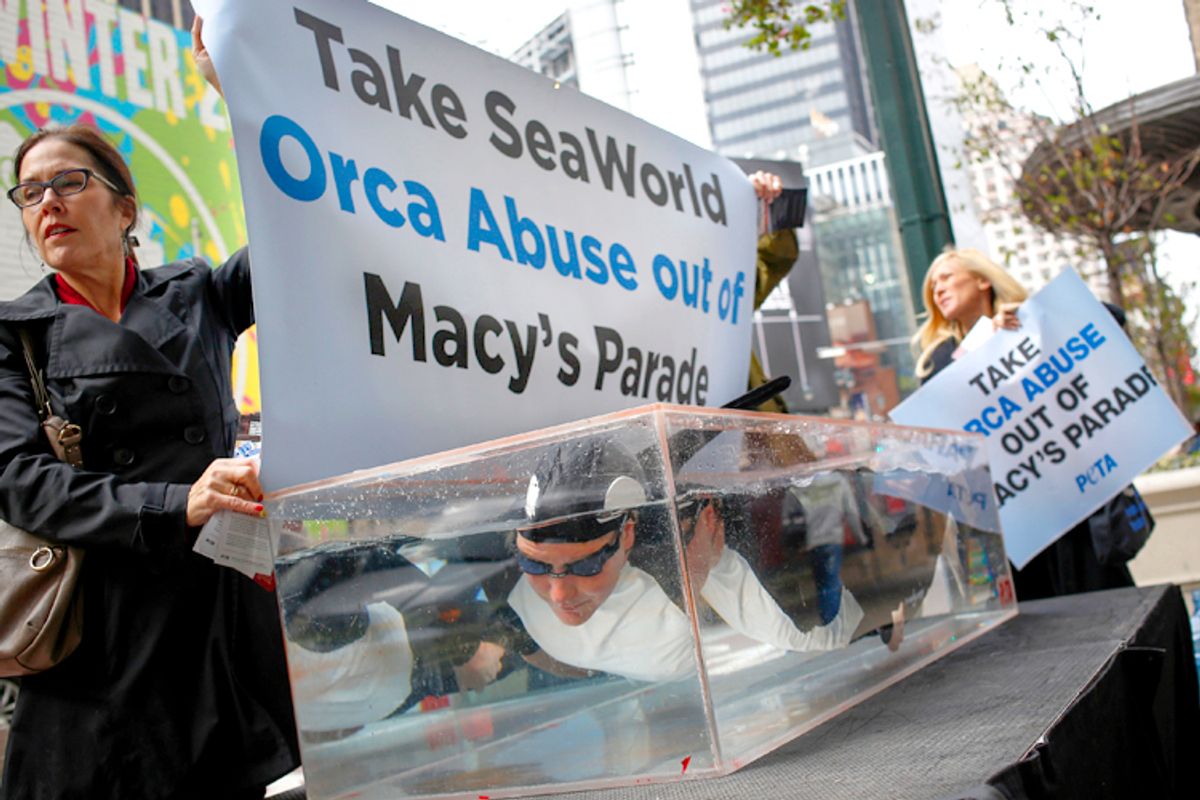 PETA activists demonstrate outside the Macy's Herald Square store protesting the plan for SeaWorld to have a float at the Macy's Thanksgiving Day Parade, October 23, 2013       (Reuters/Shannon Stapleton)