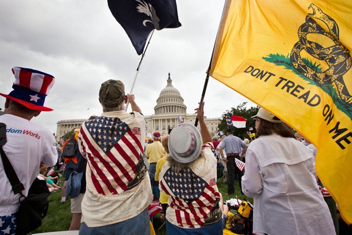 Tea Party activists rally in front of the U.S. Capitol in Washington, June 19, 2013.                    (AP/J. Scott Applewhite)