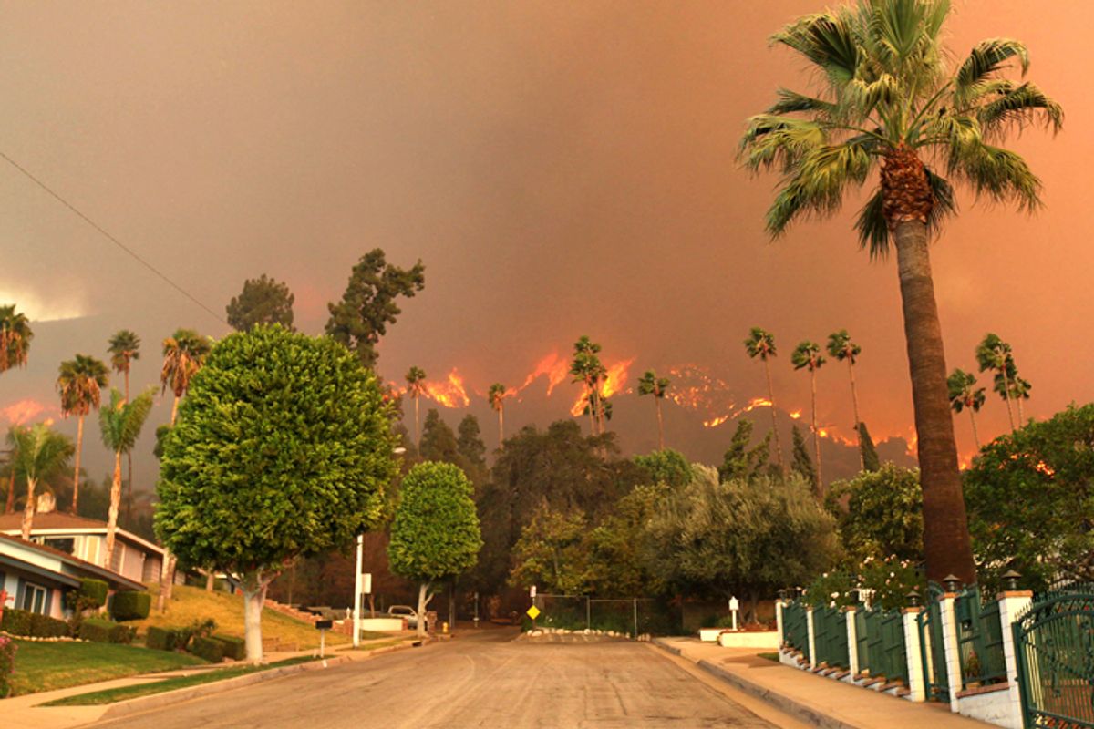 A wildfire burns in the hills just north of the San Gabriel Valley community of Glendora, Calif, Jan. 16, 2014.             (AP/Nick Ut)