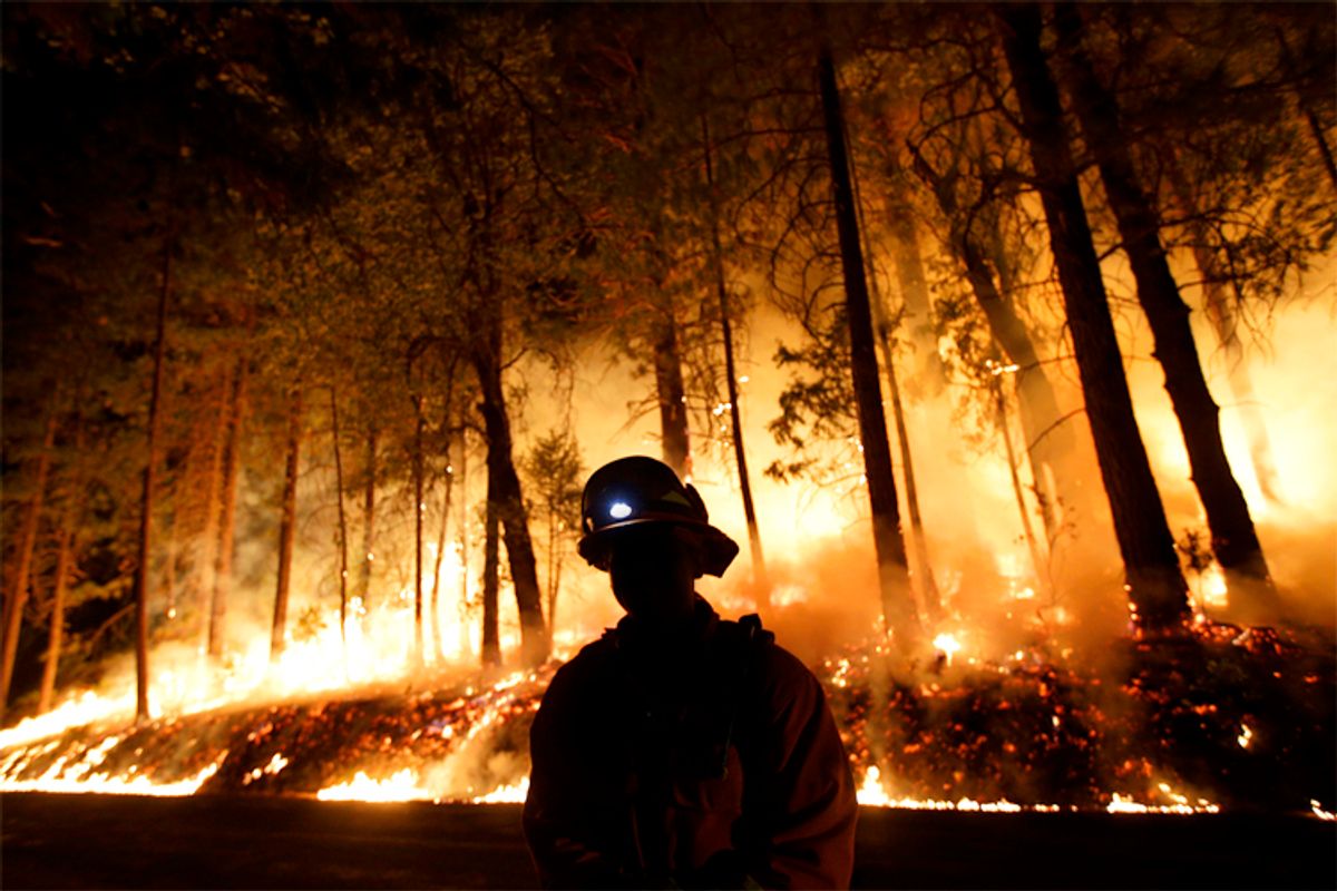 A firefighter watches for spot fires during a burnout operation while battling the Rim Fire near Yosemite National Park, Calif., Aug. 25, 2013.              (AP/Jae C. Hong)