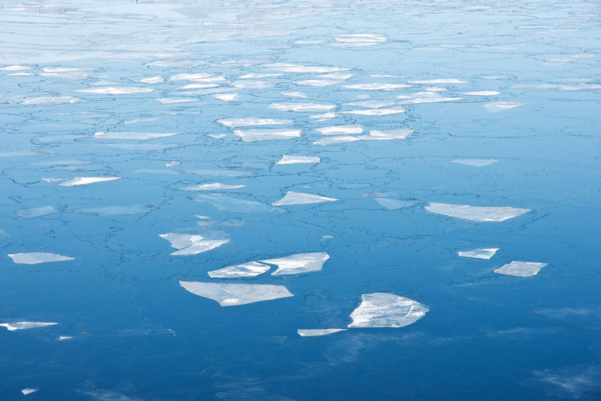    (byggarn.se/Shutterstock)