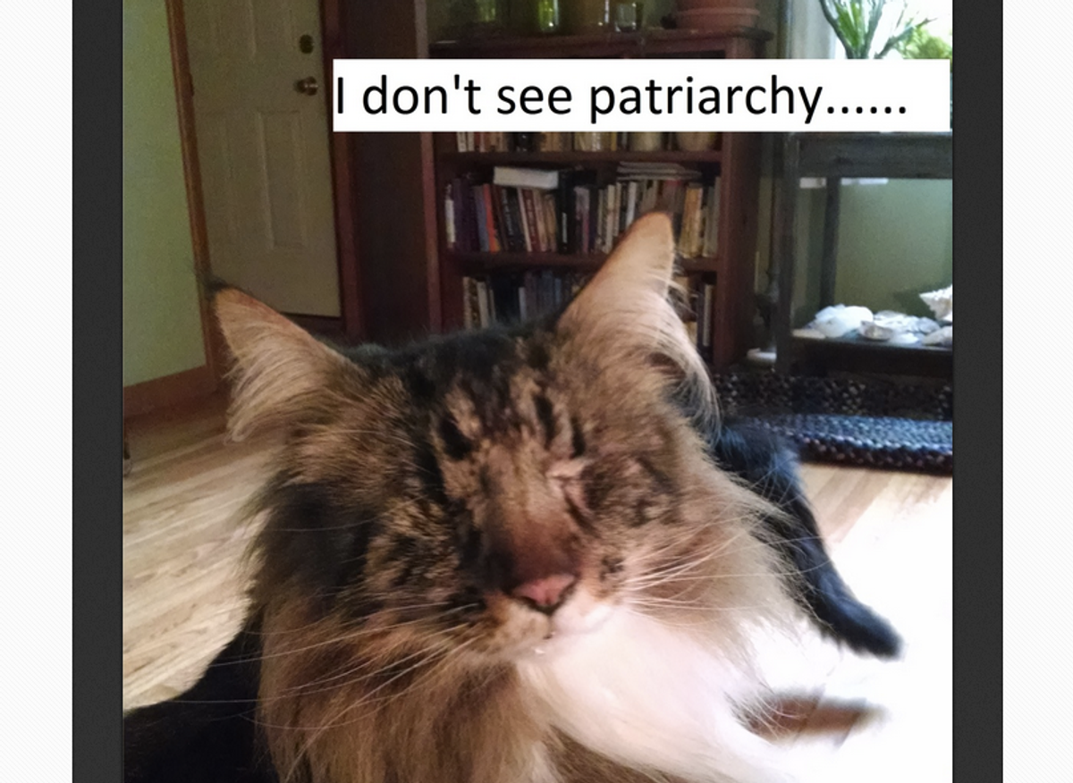    (<a href="http://confusedcatsagainstfeminism.tumblr.com/">Confused Cats Against Feminism</a>)