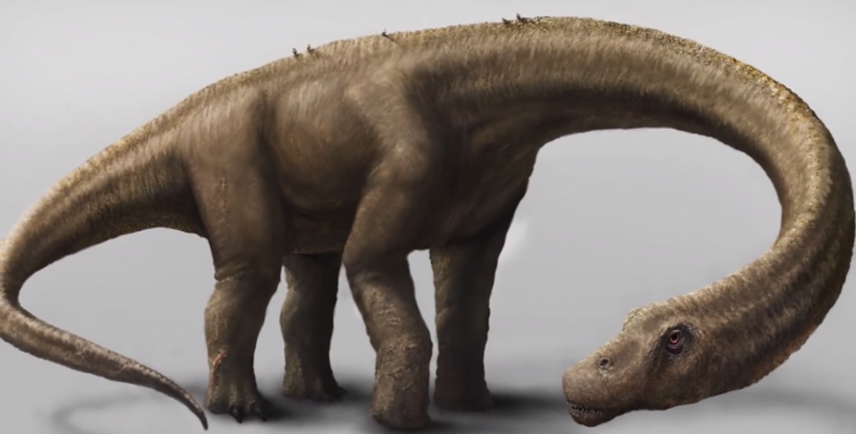  Dreadnoughtus      (screenshot/Drexel University)