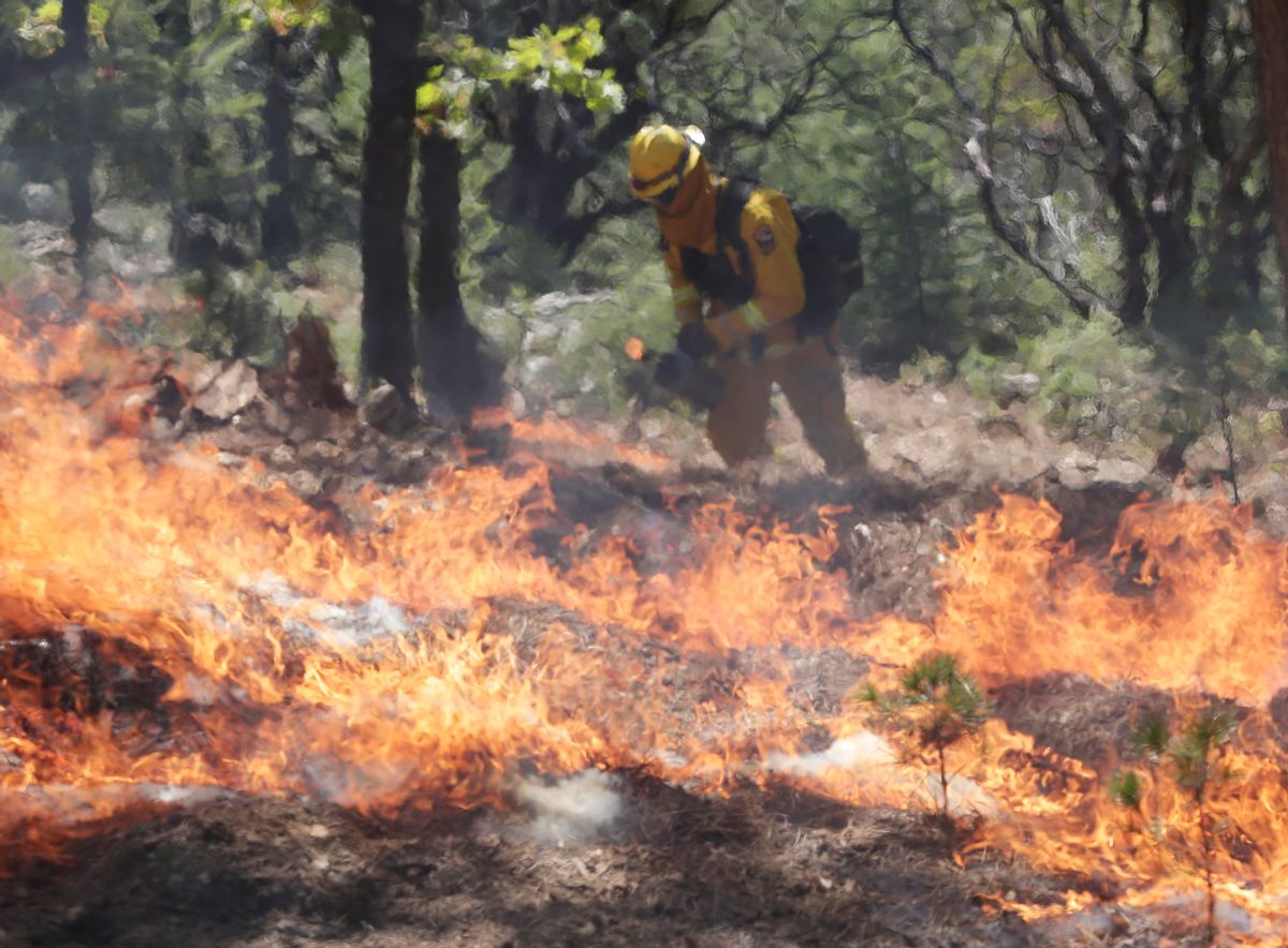AP10ThingsToSee - A firefighter sets a controlled burn with a drip torch while fighting the King Fire on Tuesday, Sept. 23, 2014, in Mosquito, Calif. Strike teams from Fresno and El Dorado Cal Fire worked in conjunction with department of corrections crews in an offensive firing tactic, intended to take away fuel from the main fire. (AP Photo/Marcio Jose Sanchez)  (AP)