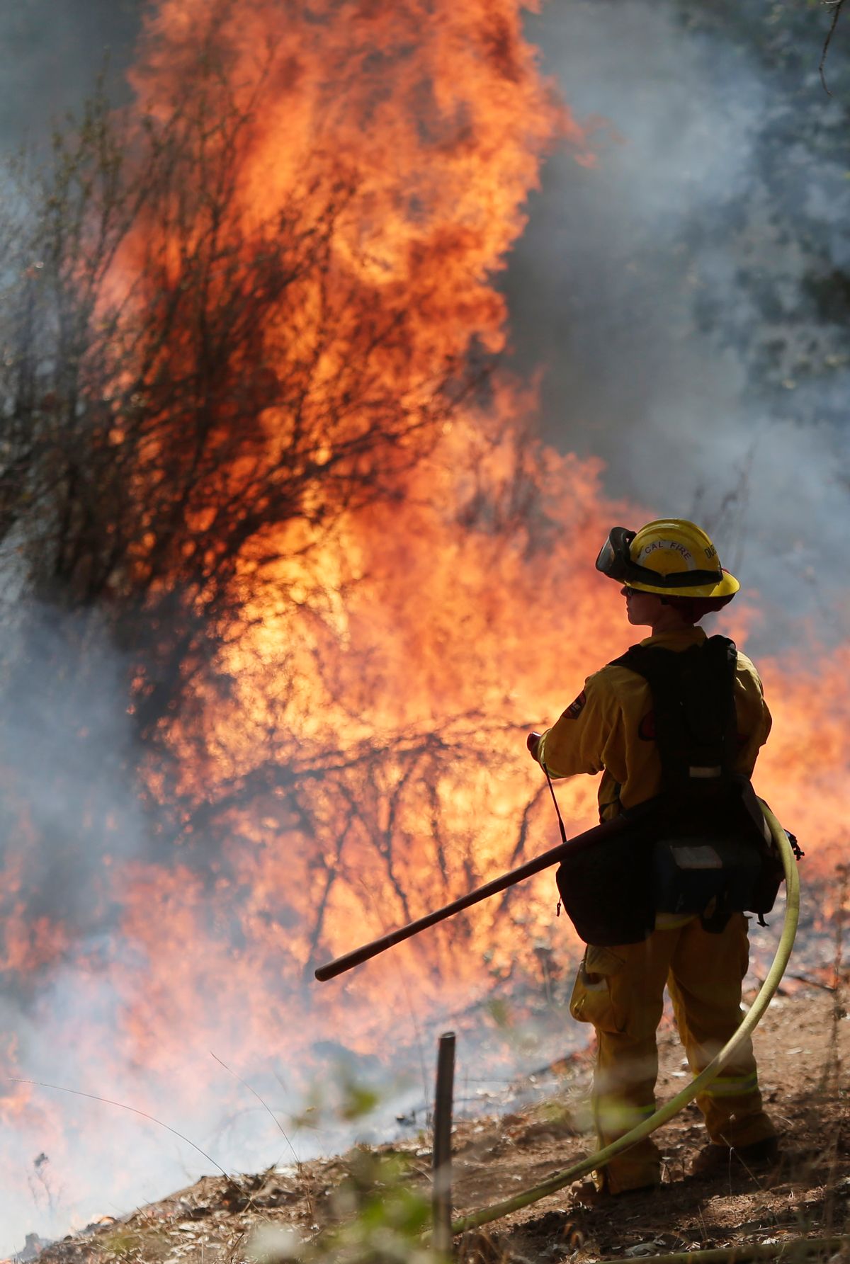 Flames from a controlled burn engulf a hillside as a firefighter watches while fighting the King Fire on Tuesday, Sept. 23, 2014, in Mosquito, Calif. Strike teams from Fresno and El Dorado Cal Fire worked in conjunction with department of corrections crews in an offensive firing tactic, intended to take away fuel from the main fire.  (AP Photo/Marcio Jose Sanchez)  (AP)