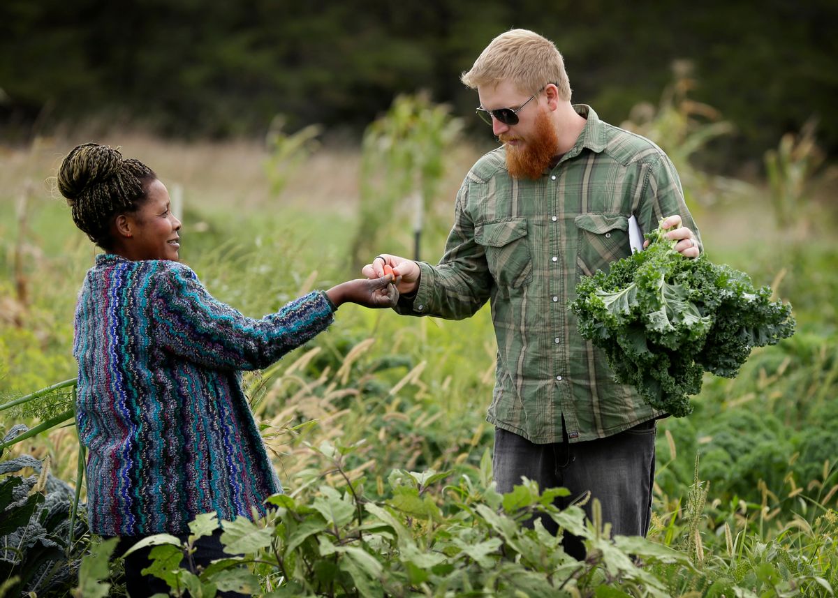 Angelique Hakuzimana, displaced by war in her native Rwanda in 2009, talks with farm manager Zach Couture, right, in her garden at the Global Greens Farm, Thursday, Sept. 11, 2014, in West Des Moines, Iowa. A growing interest from consumers to buy locally grown fruits and vegetables has provided a robust new market for refugees who have fled violence in their home countries and have found peace in farming small plots of land in cities across the United States. (AP Photo/Charlie Neibergall) (AP)