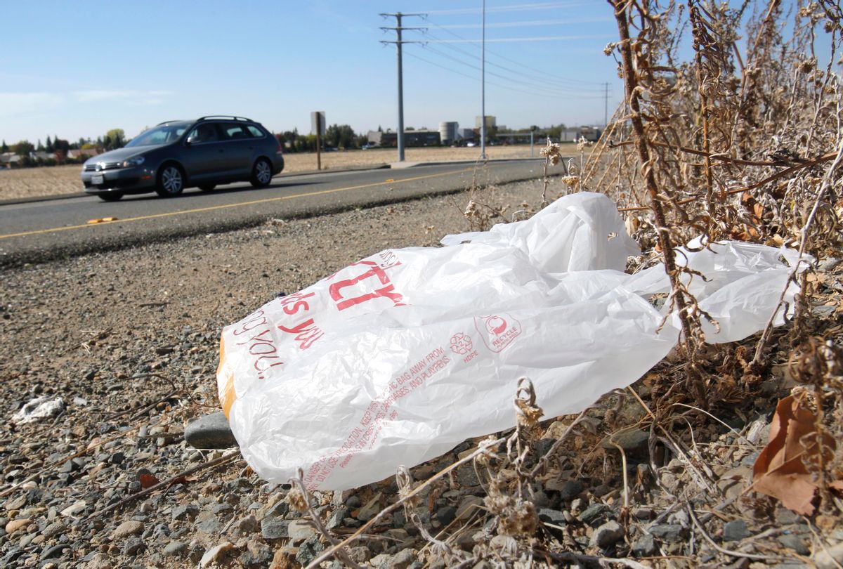FILE-In this file photo taken Friday, Oct. 25, 2013, a plastic shopping bag liters the roadside in Sacramento, Calif. Gov. Jerry Brown has signed legislation on Tuesday, Sept. 30, 2014 imposing the nation's first statewide ban on single-use plastic bags.  (AP Photo/Rich Pedroncelli) (AP)