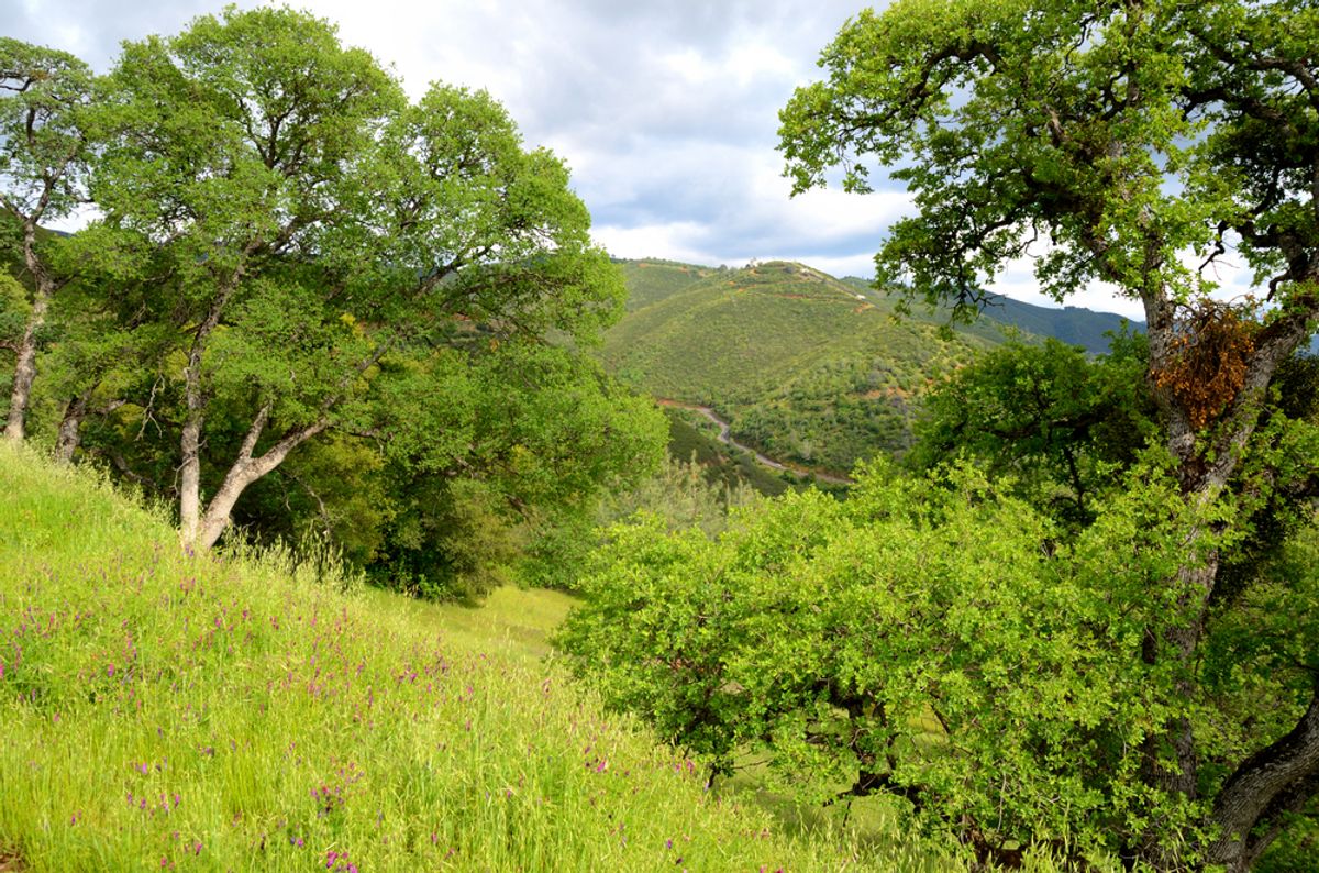 Sugarloaf Ridge State Park, California.    (Candia Baxter/Shutterstock)