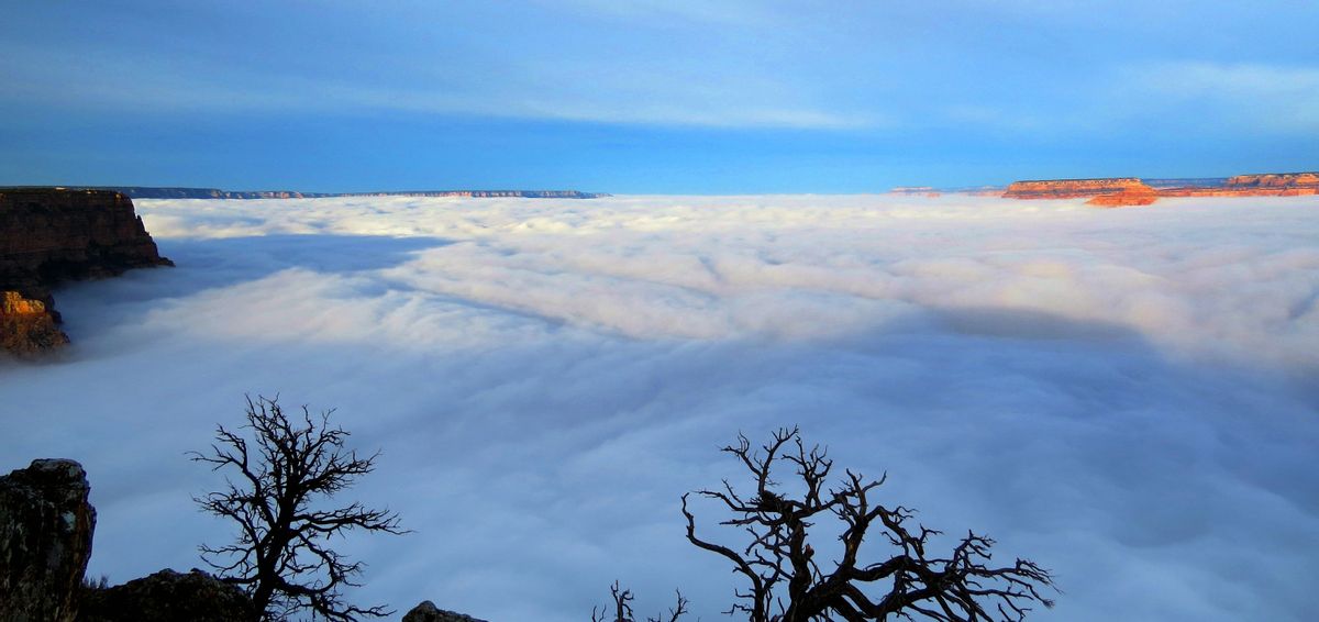 This photo provided by the National Park Service shows dense clouds at the south rim of the Grand Canyon on Thursday, Dec. 11, 2014 in Arizona. A rare weather phenomenon on Thursday had visitors looking out to a sea of thick clouds. The total cloud inversion is expected to hang over the Grand Canyon just below the rim throughout the day. (AP Photo/National Park Service, Maci MacPherson) ----- (AP)