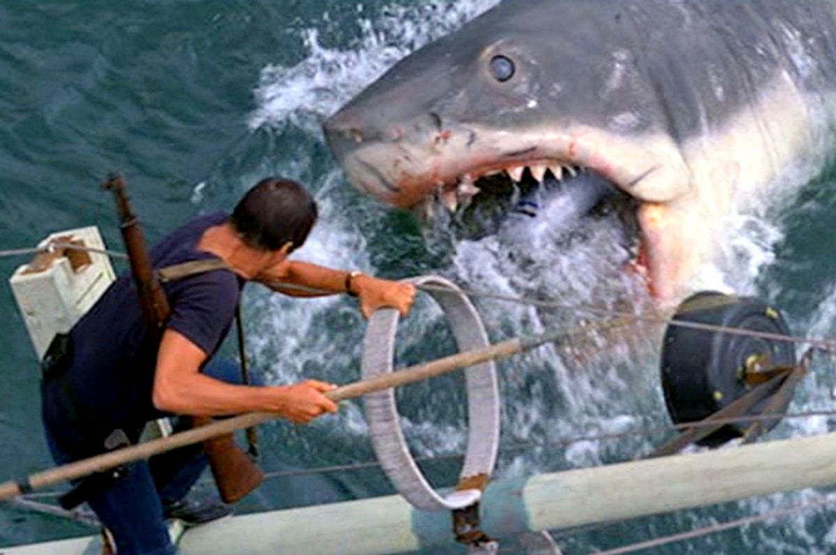 Great White Shark Images Jaws