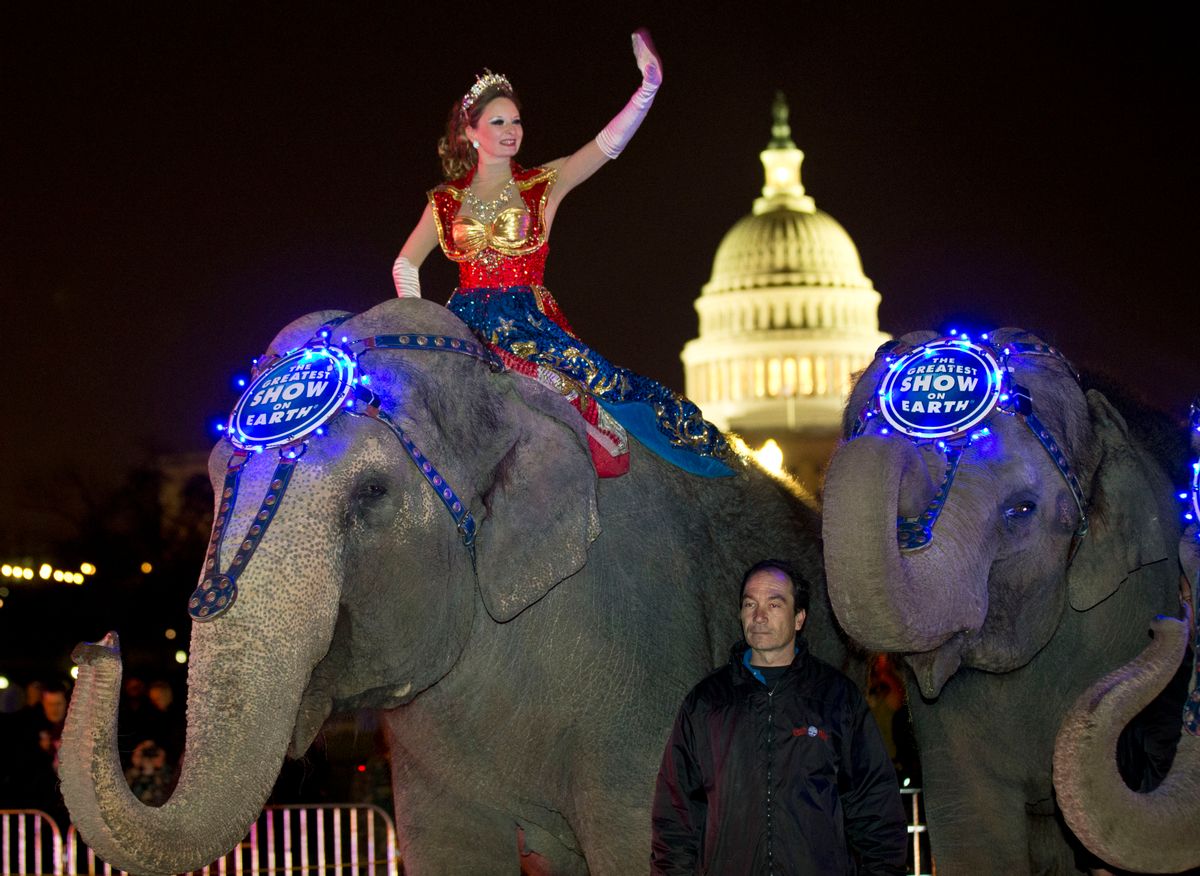 FILE - In this March 19, 2013 file photo, a performer waves as elephants with the Ringling Bros. and Barnum & Bailey show, pause for a photo opportunity in front of the Capitol in Washington, on their way to the Verizon Center, to promote the show coming to town.  (AP/Alex Brandon)