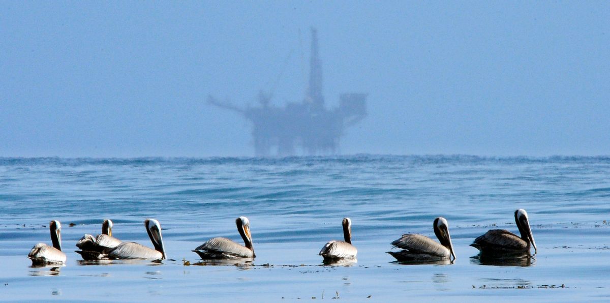FILE - This May 13, 2010 file photo Pelicans float on the water as an oil platform sits in the background off the coast of Santa Barbara, Calif.    More than 7,700 gallons of oil has been raked, skimmed and vacuumed from a spill that stretched across 9 miles of California coast, just a fraction of the sticky, stinking goo that escaped from a broken pipeline, officials said on Thursday, May 21, 2015.  (AP Photo/Mark J. Terrill,File) (AP)