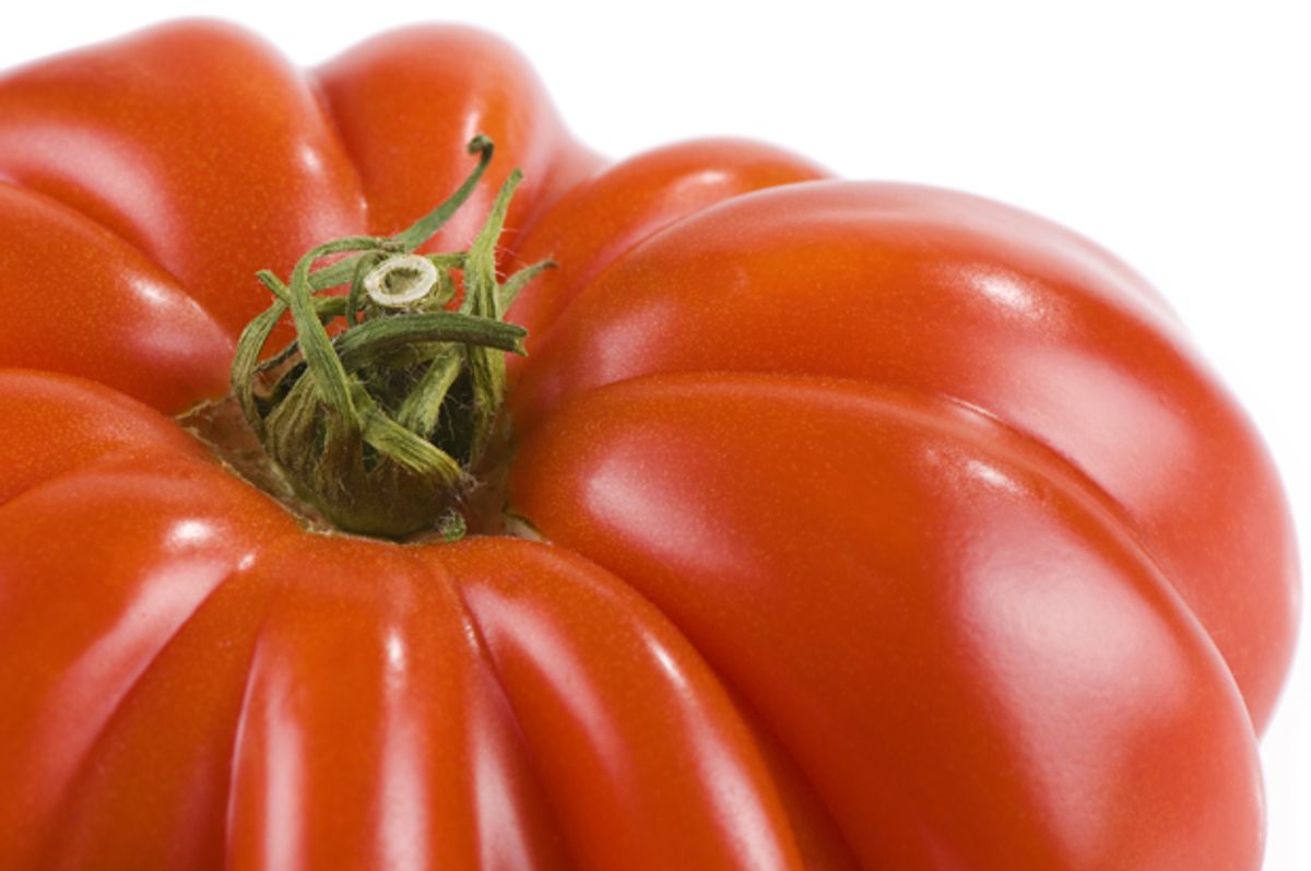   (<a href='http://www.shutterstock.com/gallery-567469p1.html'>CnOPhoto</a> via <a href='http://www.shutterstock.com/'>Shutterstock</a>)