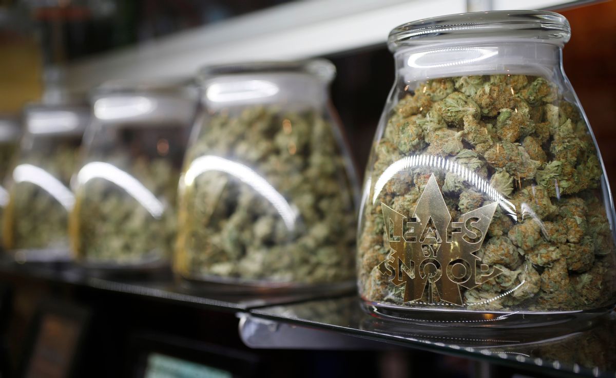 This Friday, Dec. 18, 2015, photograph, shows the logo on the front of jars of marijuana buds marketed by rapper Snopp Dogg in one of the LivWell marijuana chain's outlets south of downtown Denver. LivWell grows the Snoop pot alongside many other strains on its menu. (AP Photo/David Zalubowski) (AP Photo/David Zalubowski)