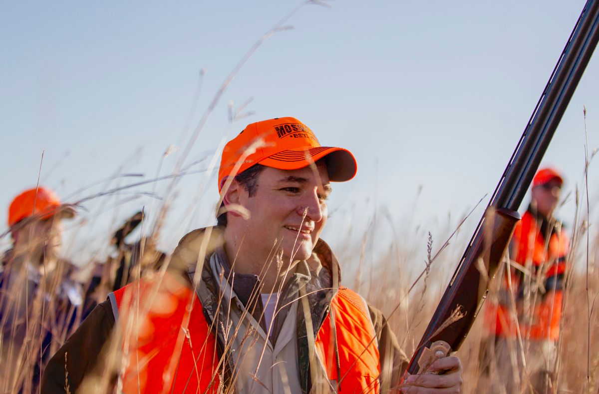 FILE - In this Oct. 26, 2013 file photo, Sen. Ted Cruz, R-Texas, walks through tall grass during a pheasant hunt hosted by Rep. Steve King, R-Iowa, in Akron, Iowa. (AP Photo/Nati Harnik)
