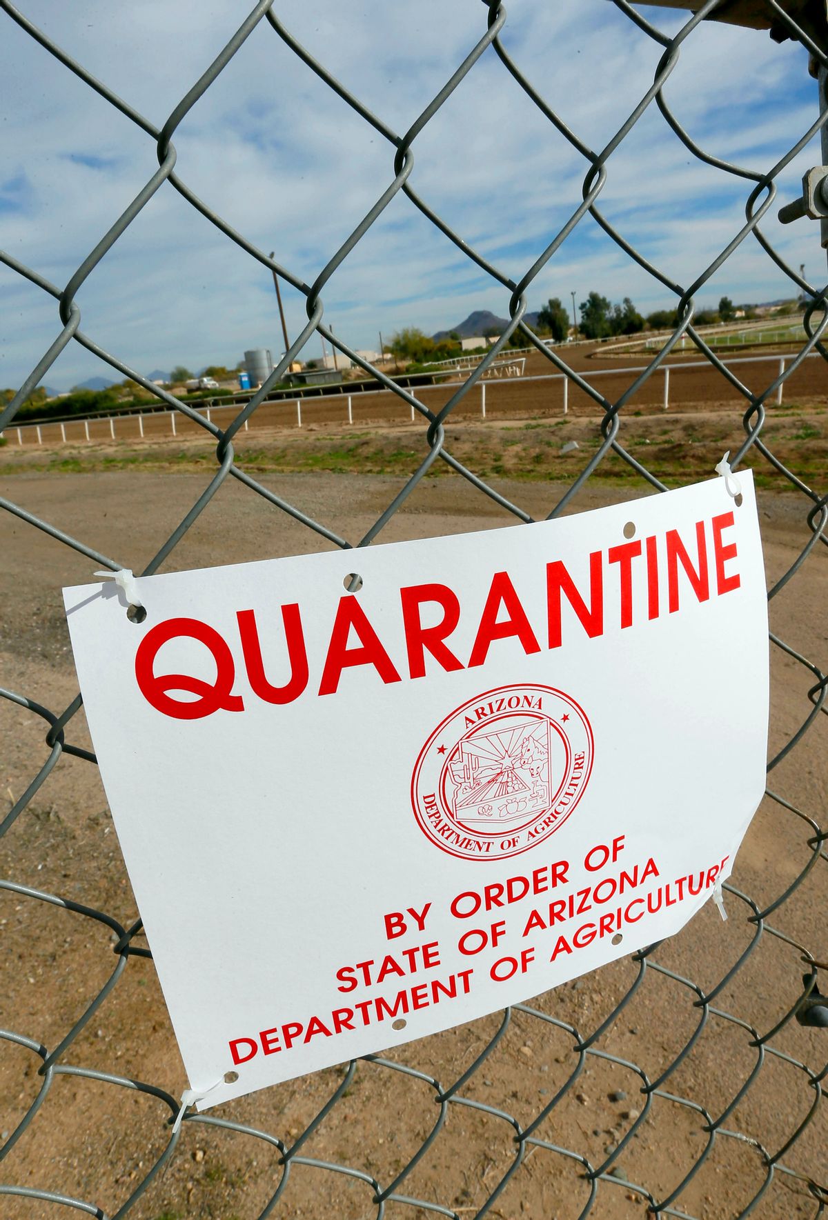 A quarantine warning is displayed outside the horse racing track at Turf Paradise, Friday, Jan. 29, 2016, in Phoenix. Turf Paradise has euthanized one horse and is quarantining two others in the wake of a herpes outbreak that surfaced in New Mexico.(AP Photo/Matt York) (AP)