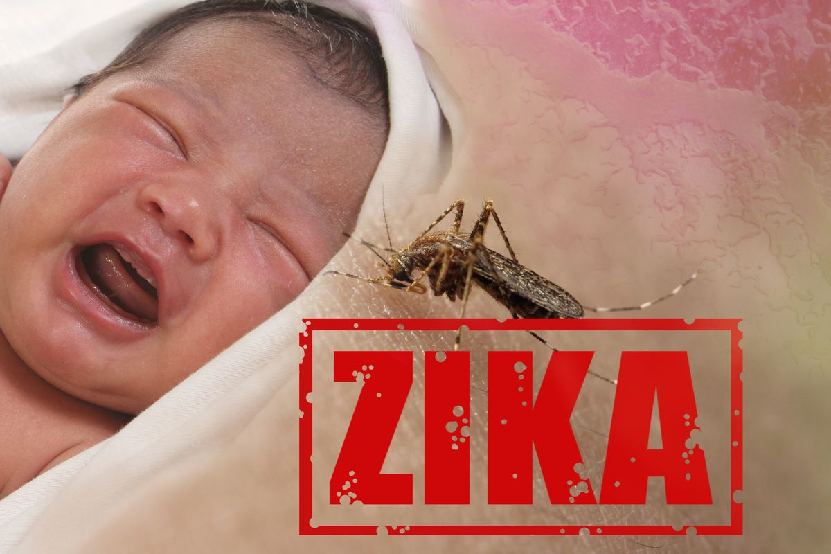 Zika Virus Spreads Through Sexual Contact Officials Say 1828
