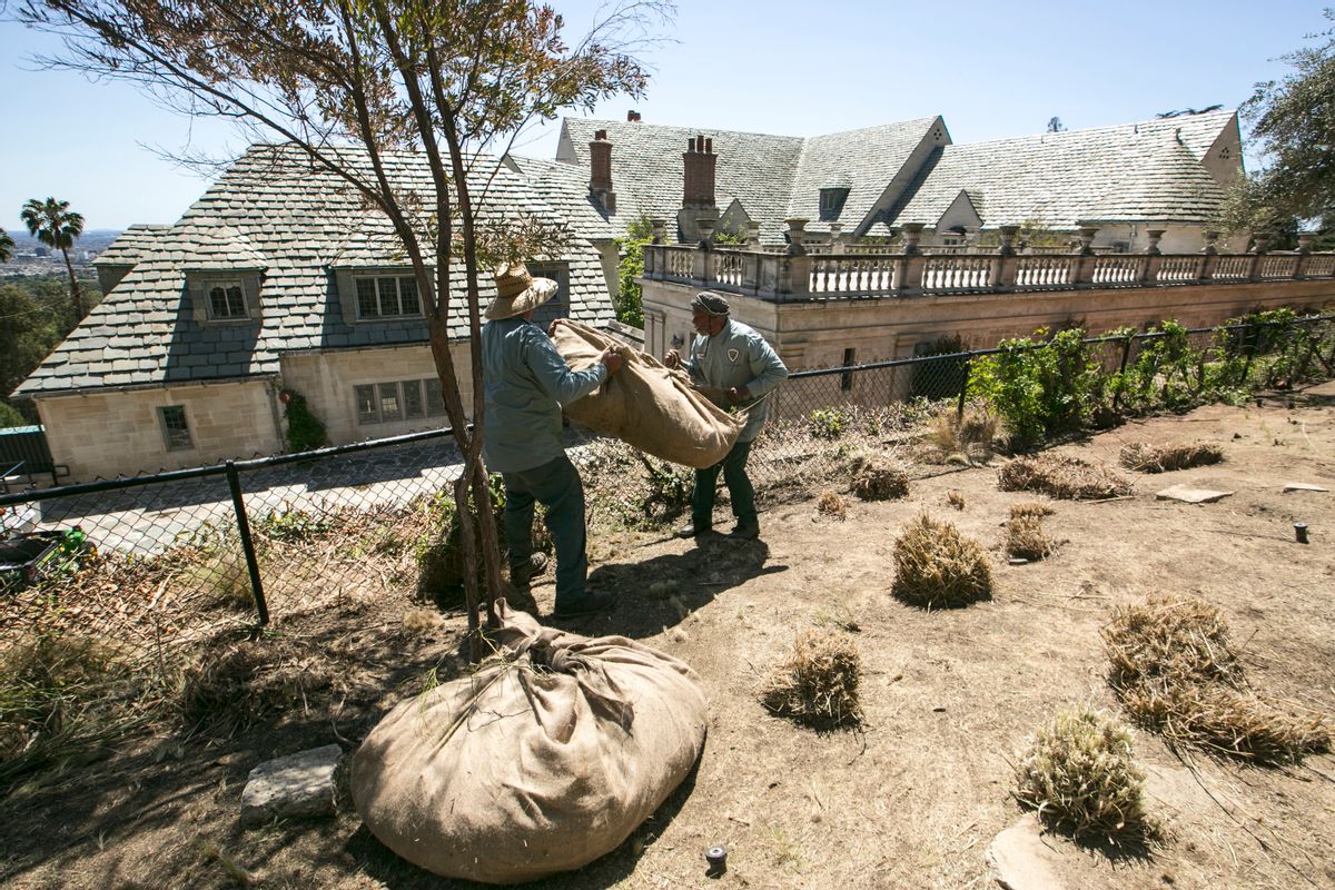 FILE - In this April 8, 2015 file photo, gardeners remove grass plants trimmed ahead of planned watering reductions at the Greystone Mansion and Park in Beverly Hills, Calif. State regulators say most communities in drought-stricken California remained on target for saving water in June, the first month that put local leaders back in charge of conservation. State water regulators on Tuesday, Aug. 2, 2016, will release figures as California endures its fifth year of drought. (AP Photo/Damian Dovarganes, File) (AP)