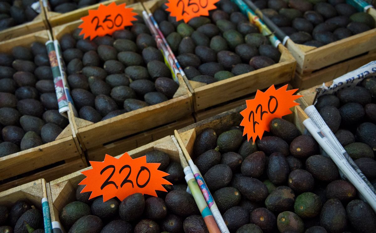 Is China to blame for the global avocado shortage?