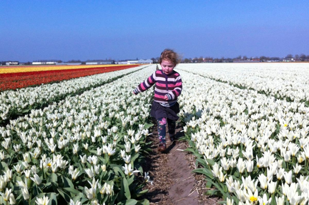 Fields of joy in the Dutch springtime'.
 (Mihal Greener)