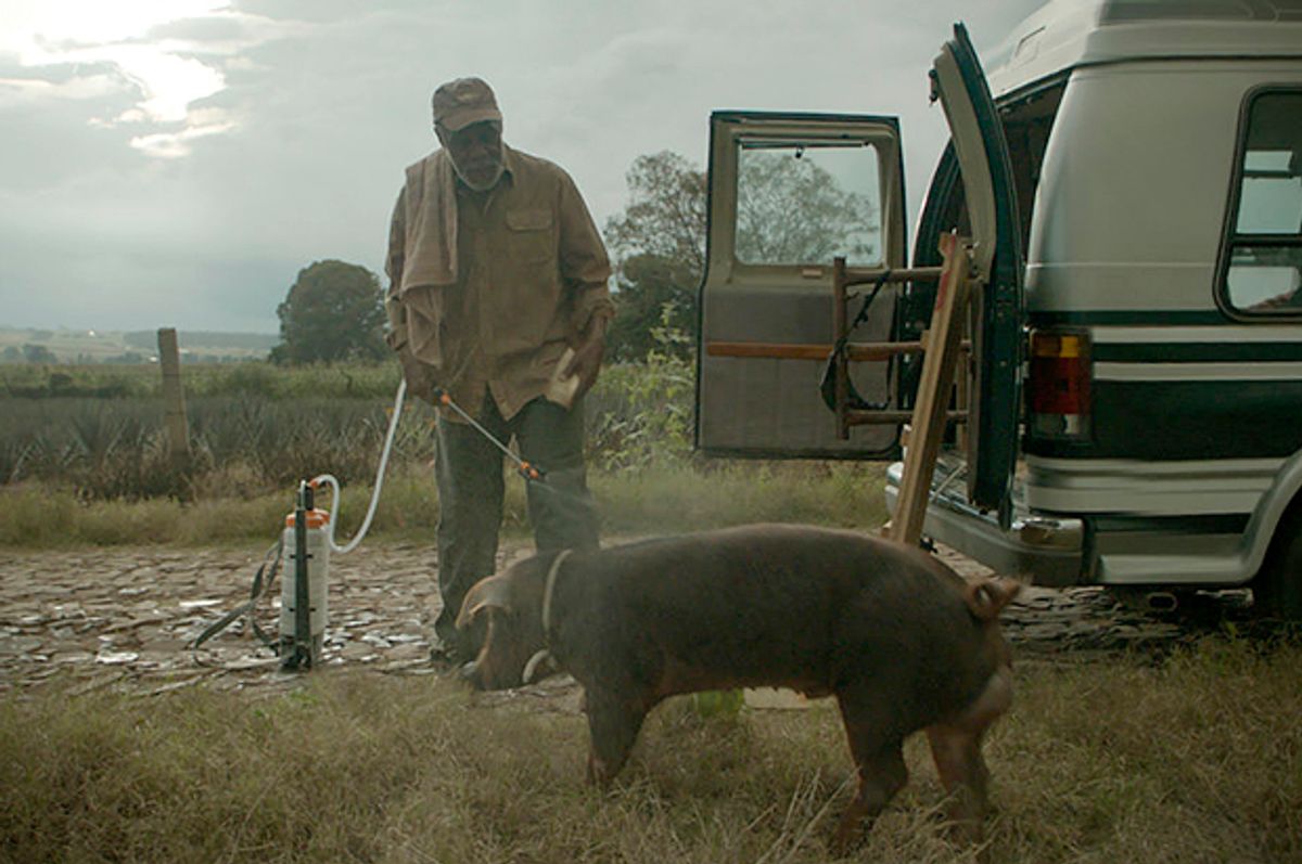Danny Glover in "Mr. Pig"   (Sundance Institute)