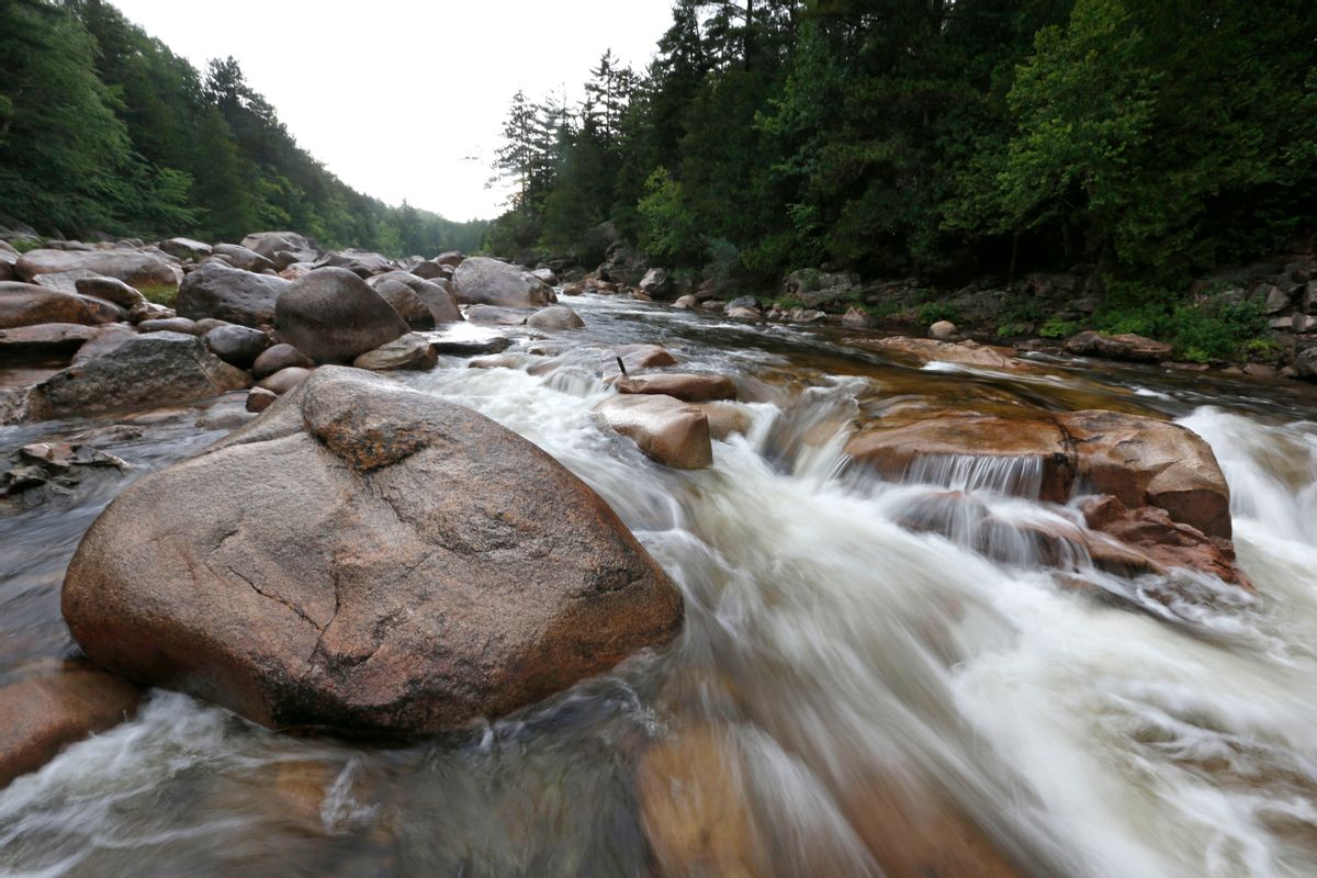 FILE - In this Aug. 4, 2015, file photo, the Wassataquoik Stream flows through Township 3, Range 8, Maine, on land owned by environmentalist Roxanne Quimby, the co-founder of Burt's Bees. President Barack Obama in 2016 created the Katahdin Woods and Waters National Monument on 87,000 acres donated by Quimby. The backers of the new national monument in Maine don’t believe Donald Trump will undo Obama’s move. (AP Photo/Robert F. Bukaty, File) (AP)