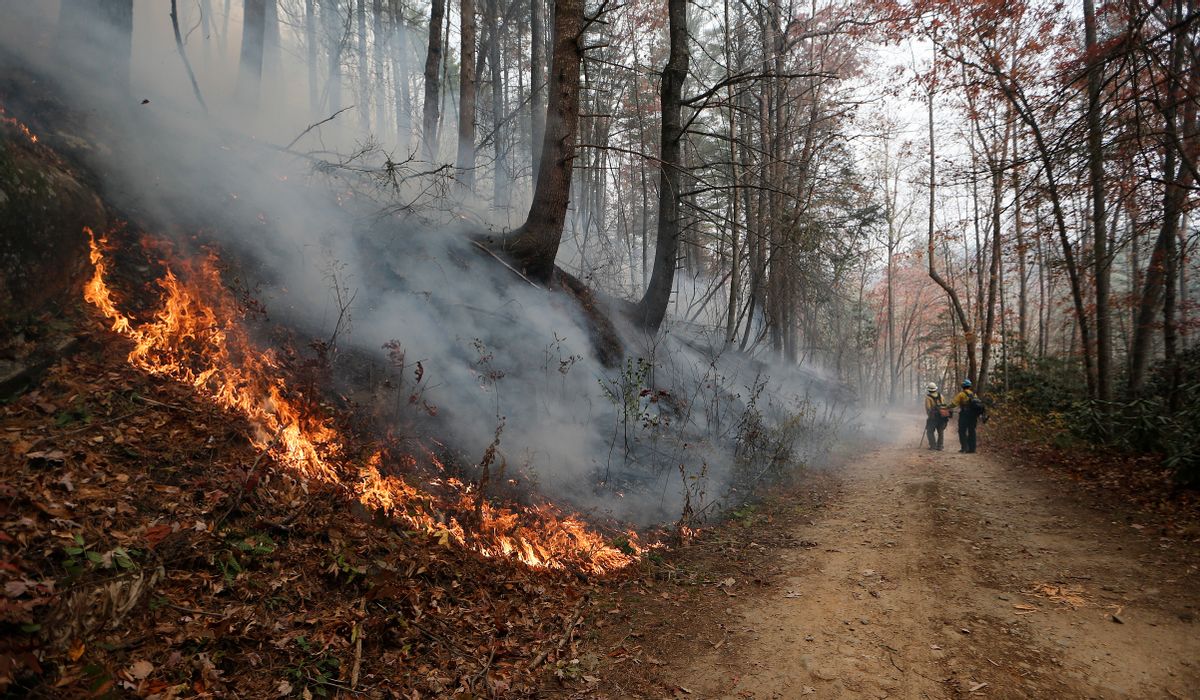 Humans Blamed For Starting Most Of The Wildfires In The Us 3520