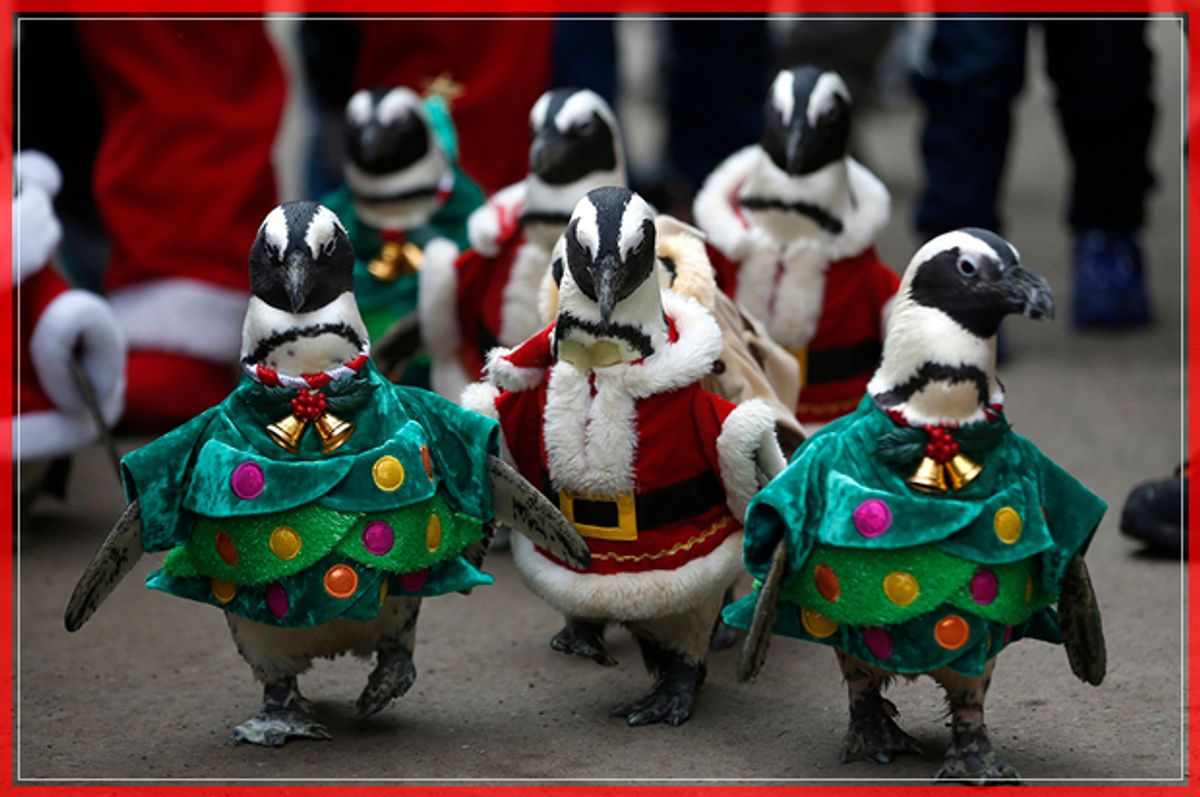 Visitors look at penguins wearing Santa Claus (in red) and Christmas tree (in green) costumes during a promotional event for Christmas at an amusement park in Yongin, south of Seoul, December 18, 2013.  REUTERS/Kim Hong-Ji (SOUTH KOREA - Tags: SOCIETY ANIMALS TPX IMAGES OF THE DAY) - RTX16N0Z (Reuters)