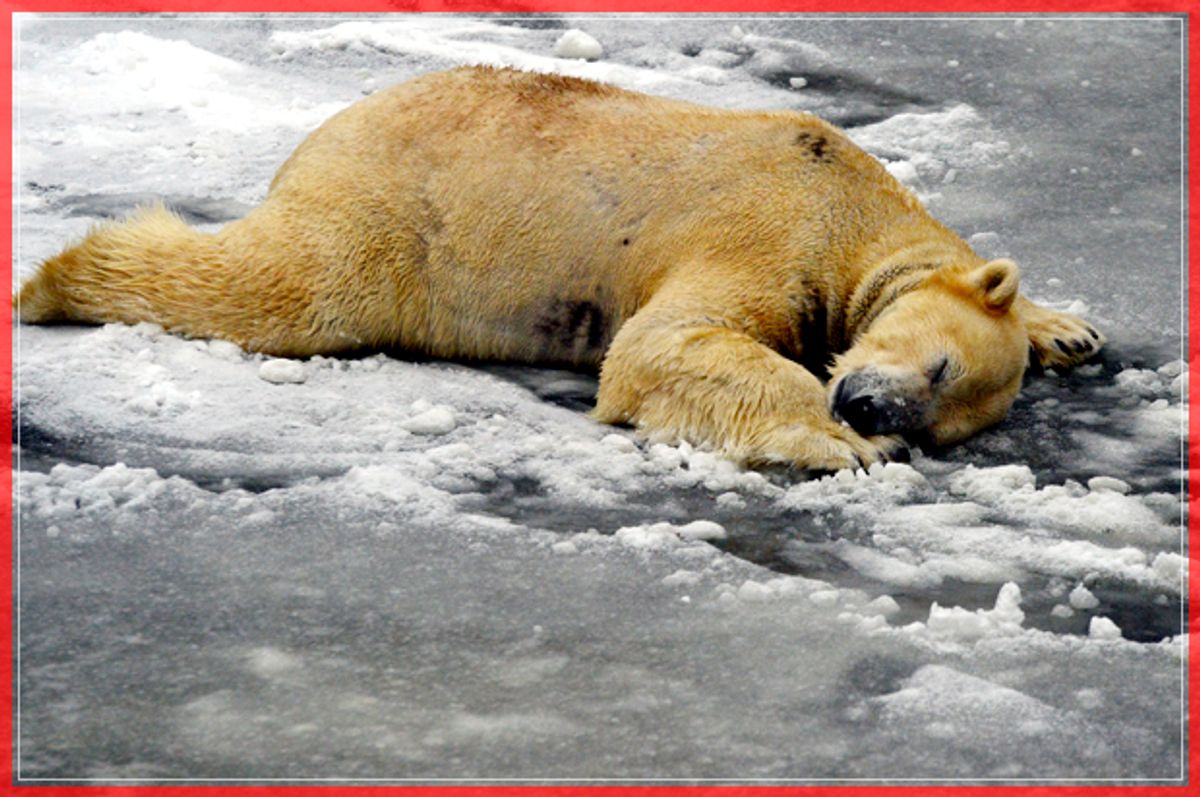 Polar bear Wolodja takes a nap in its enclosure in the Berlin Tierpark zoo. Sunday Jan. 8, 2017. (Maurizio Gambarini/dpa via AP) (AP)