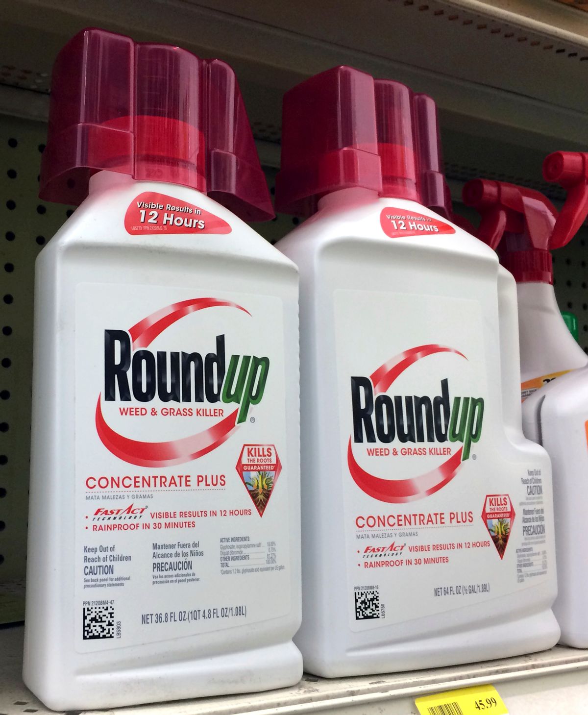 Containers of Roundup a weed killer is seen on a shelf at a hardware store in Los Angeles on Thursday, Jan. 26, 2017. A battle over the main ingredient in Roundup, the popular weed killer sprayed by farmers and home gardeners worldwide, is coming to a head in California, where officials want to be the first to label the chemical, glyphosate, with warnings that it could cause cancer. Chemical giant Monsanto has sued the nation's leading agricultural producer, saying state officials illegally based their decision for warning labels on an international health organization. (AP Photo/Reed Saxon) (AP)