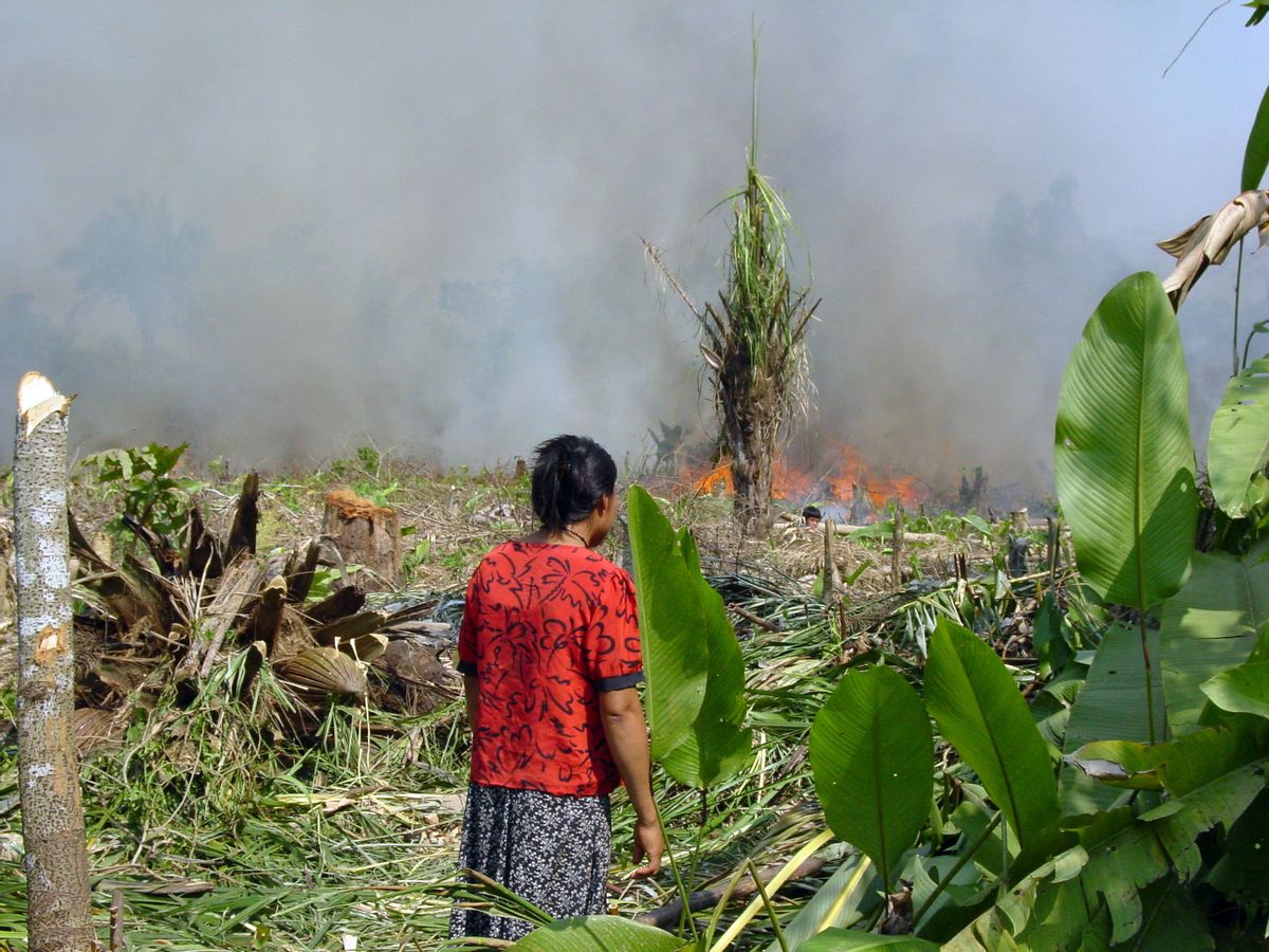 A Tsimane man monitors a burning field, among a group of indigenous people with a traditional lifestyle deep in the Bolivian Amazon. (Michael Gurven/St. Luke’s Health System Kansas City via AP) (AP)
