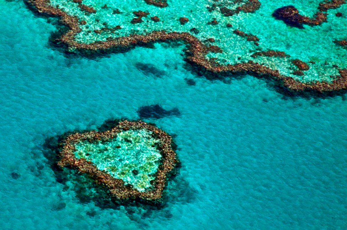 The Great Barrier Reef in Queensland Australia   (Getty/hypergurl)