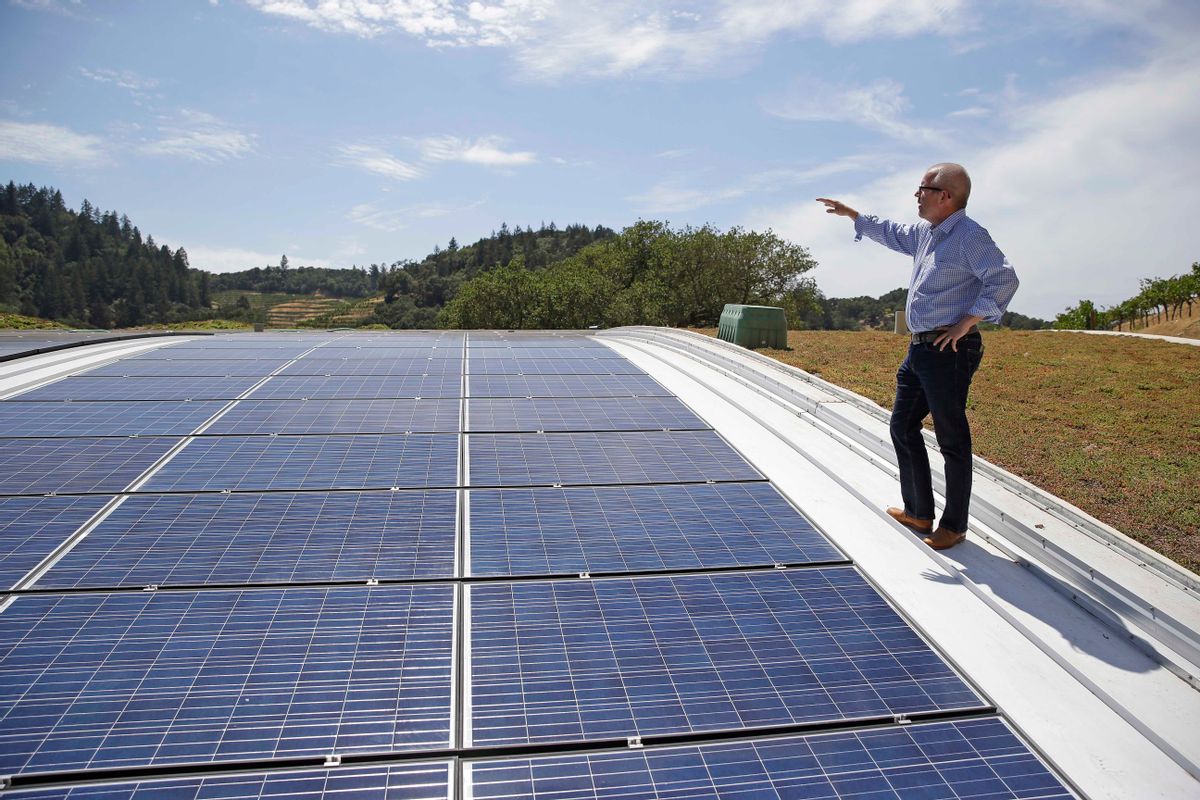FILE - In this file photo taken July 16, 2014, Christian Oggenfuss stands near solar panels on top of the living roof at the Odette Estate winery in Napa, Calif. A new estimate from the U.S. government shows that California met about half of the state's electricity demand for three hours on March 11, 2017--the state's goal is for 50 percent of all electricity to come from renewable sources by 2030. (AP Photo/Eric Risberg, File) (AP)