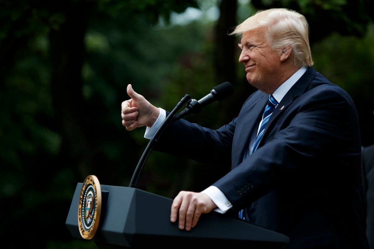 President Donald Trump gestures in the Rose Garden of the White House  (AP Photo/Evan Vucci)