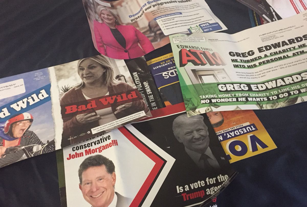 Campaign literature received by the author during this election (Matthew Rozsa)