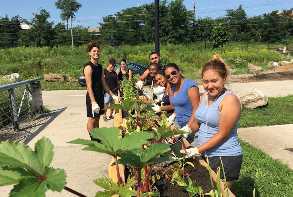 A team of farmers working at the Bronx Foodway as part of a program from Youth Ministries for Peace & Justice and New York City’s Summer Youth Employment Program. (Nathan Hunter/Civil Eats)