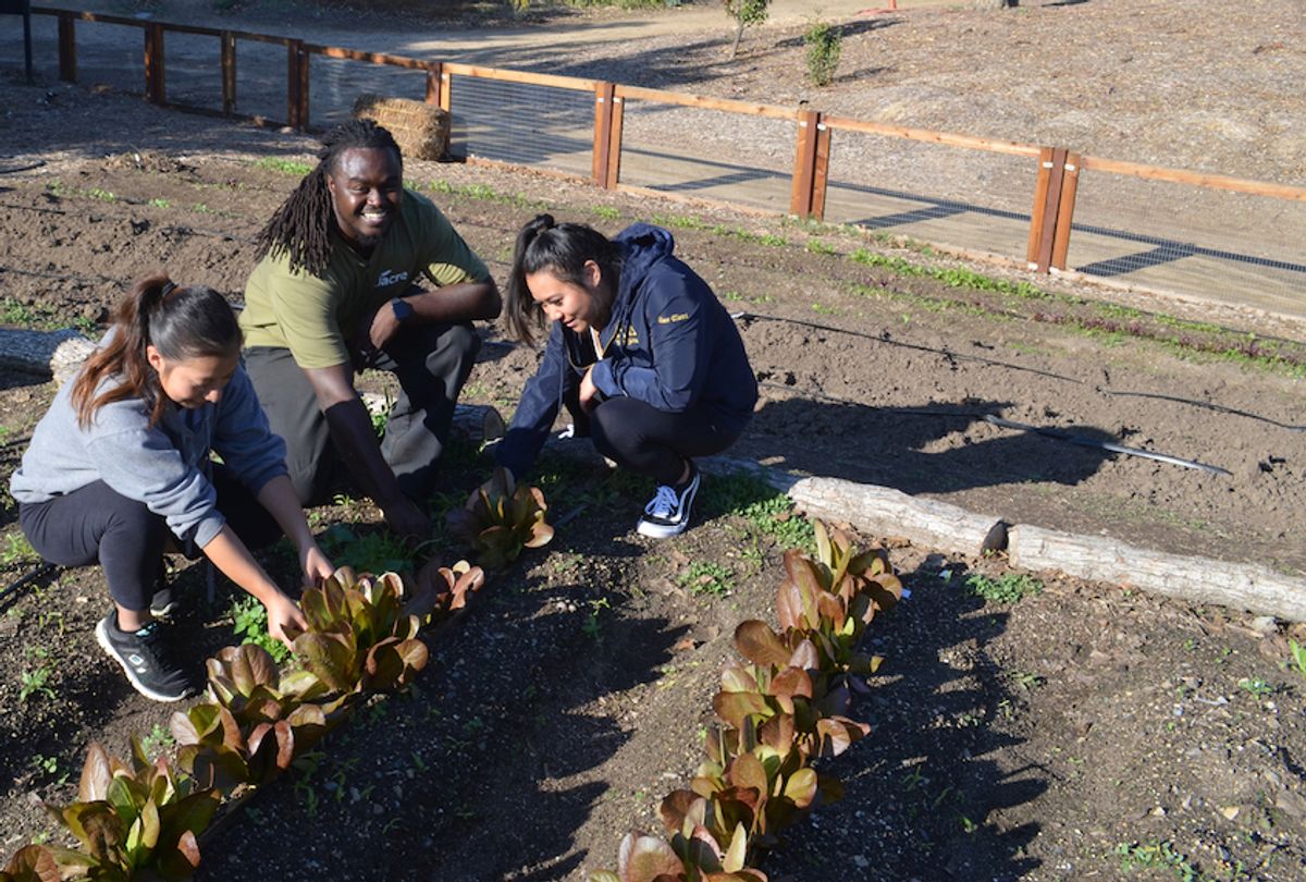Roy Reid (center) working with service learning students at the CSUF garden.  (Sara Johnson/Civil Eats)