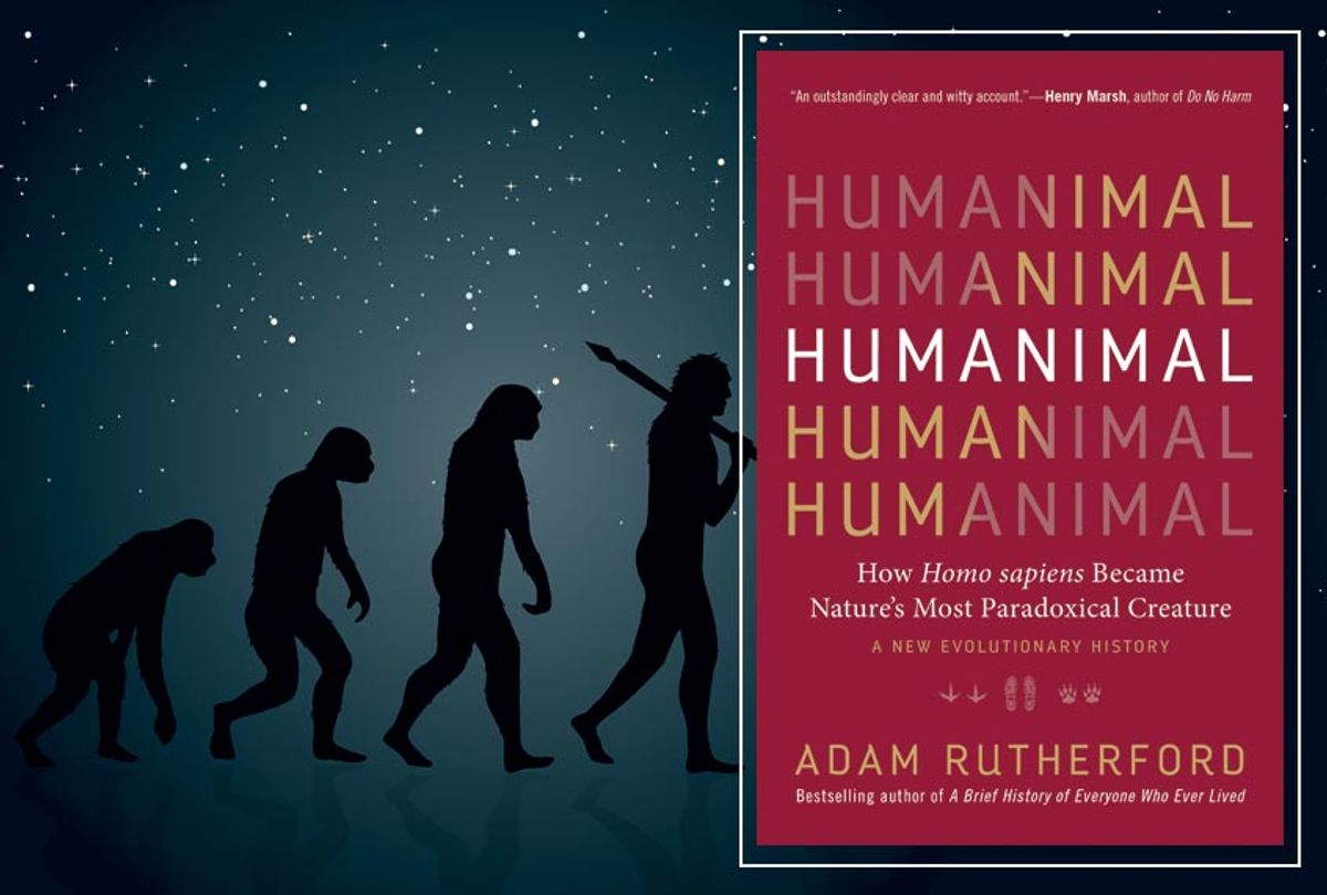 Humanimal: How Homo sapiens Became Nature’s Most Paradoxical Creature—A New Evolutionary History
by Adam Rutherford (Getty/00Mate00/The Experiment)