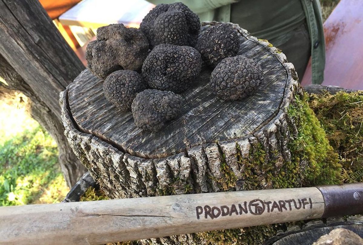 Black truffles are gold in Croatia. Photos by Jean Tang.
