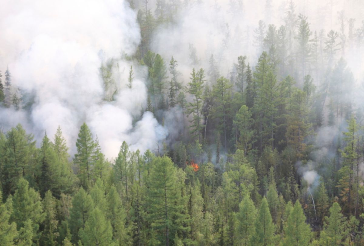 This photo taken on Monday, July 29, 2019 and released by Press Service of the Ministry of Forestry of the Krasnoyarsk Territory, shows an air view of a forest fire in the Boguchansk district of the Krasnoyarsk region, Russia Far East.  (Maria Khlystunova, Press Service of the Ministry of Forestry of the Krasnoyarsk Territory via AP)