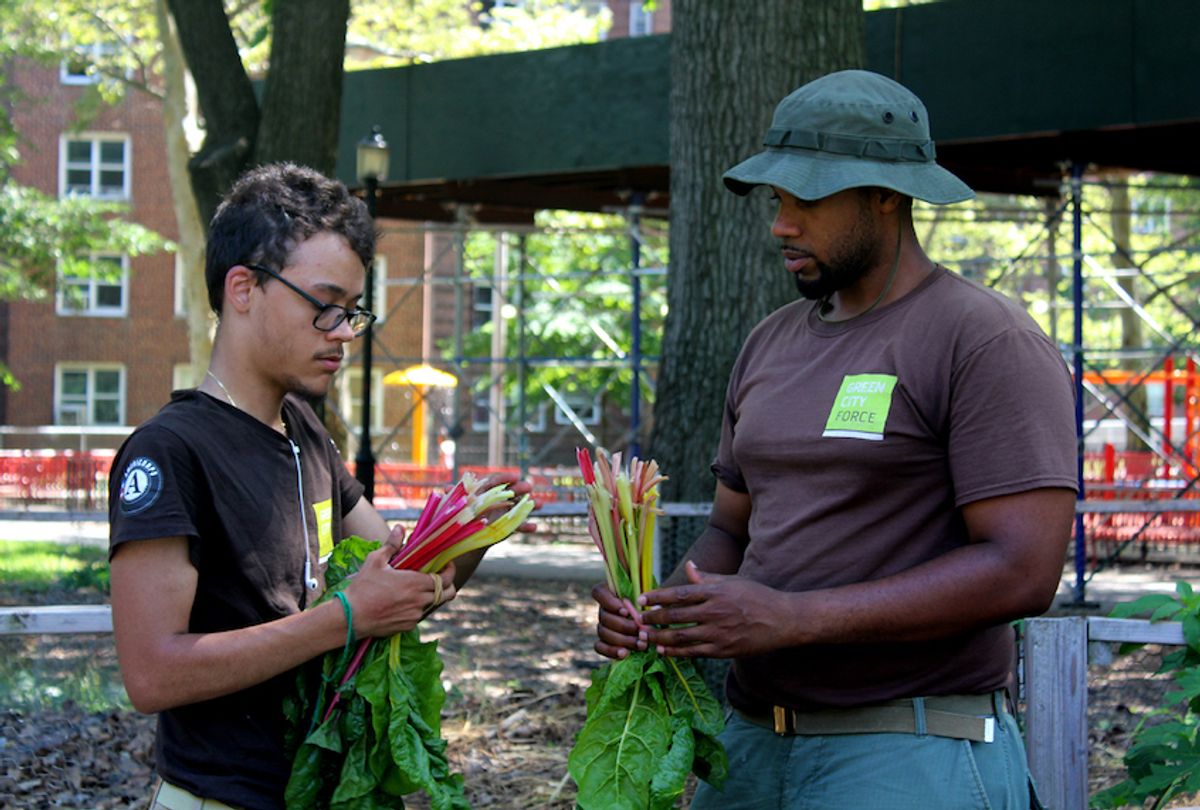 Green City Force team leader CheVon Cooper (right) and Americorps member Manuel at the Forest Houses gardens. (Photo by Robert Cowan) (Photo by Robert Cowan)
